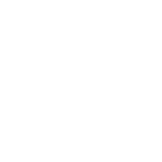 Damudi clothing logo